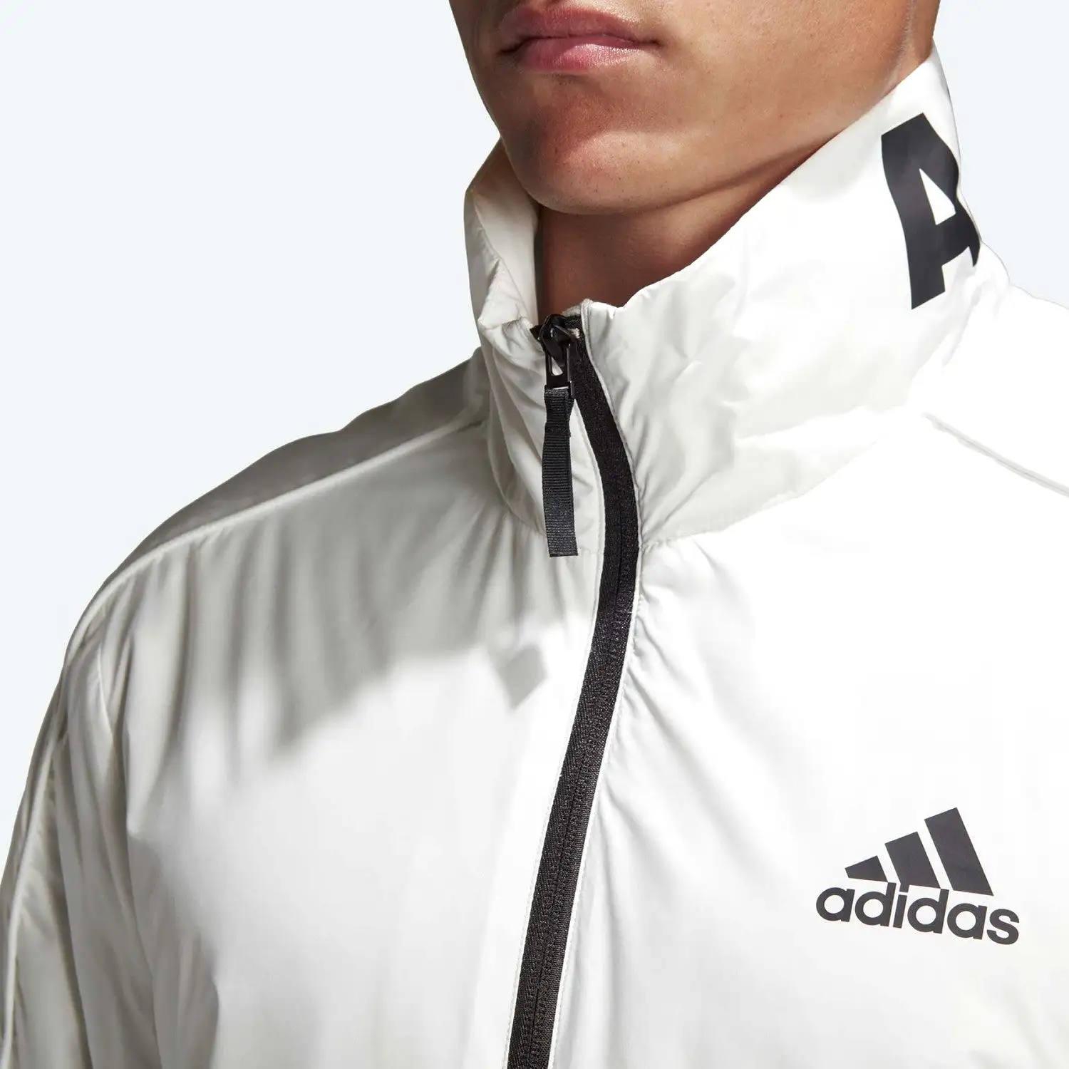 adidas Men's Light Insulated Jacket DQ1608