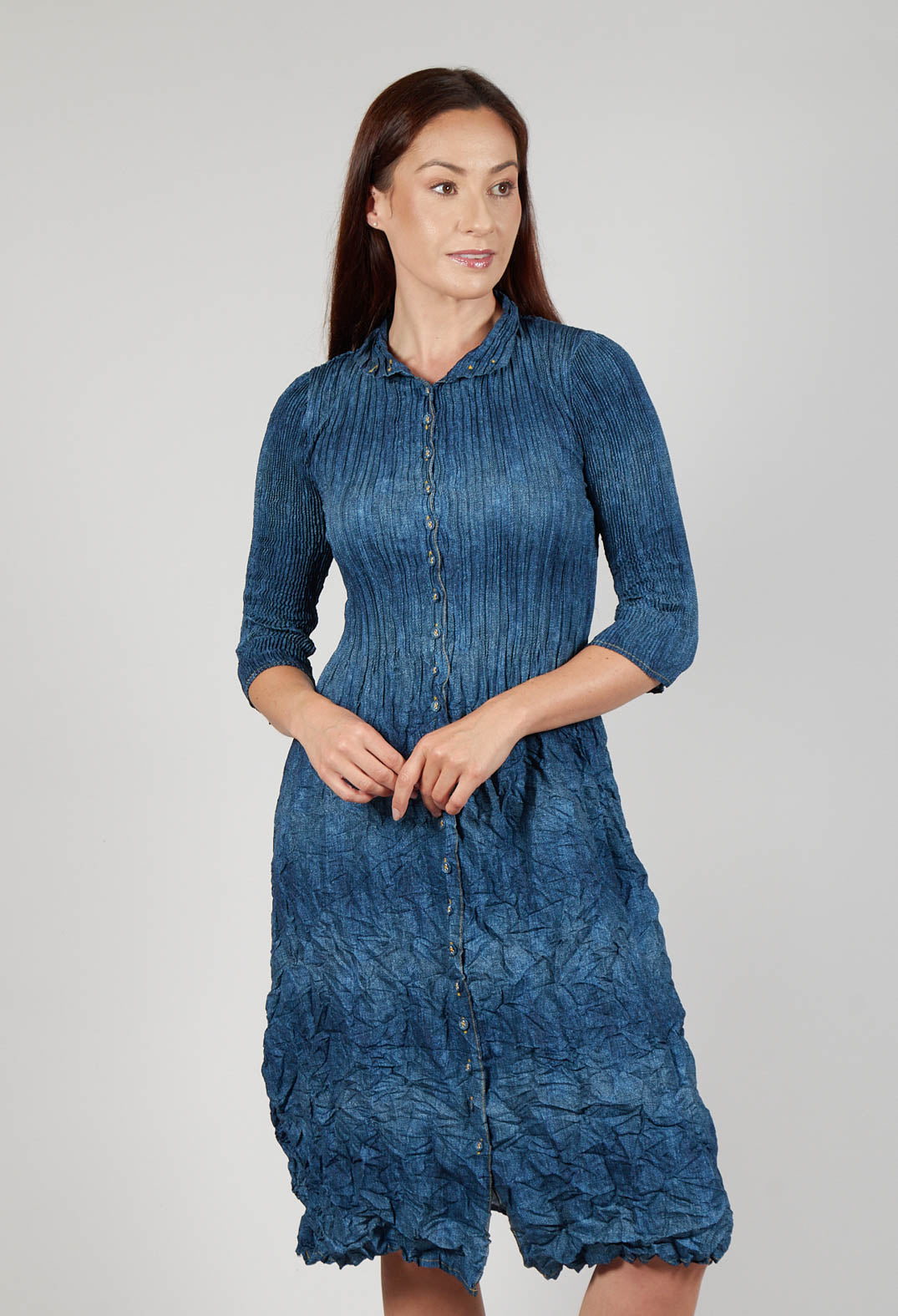 Nehry Coat Dress in Denim