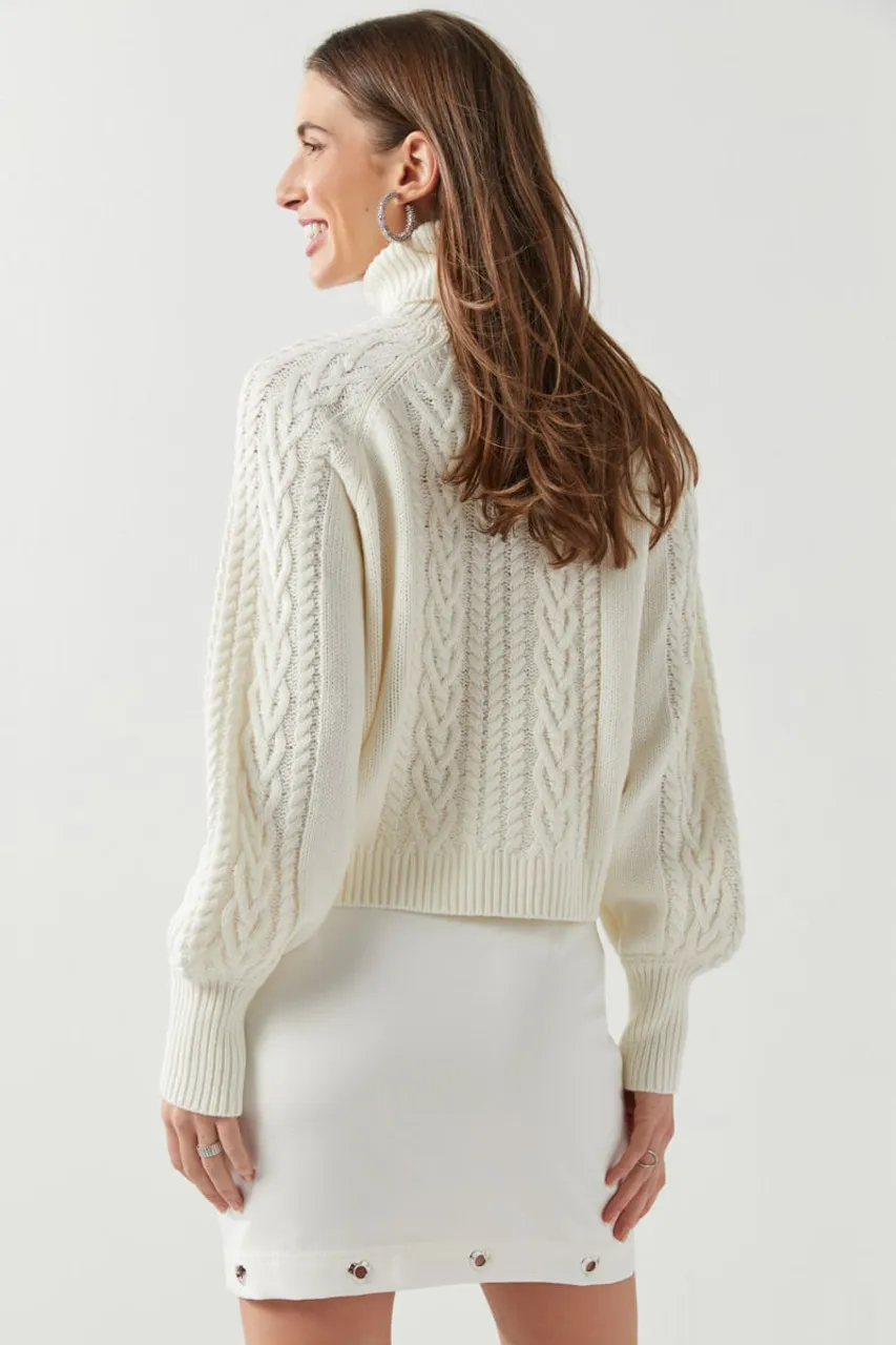 Shae Turtleneck Pullover Sweater