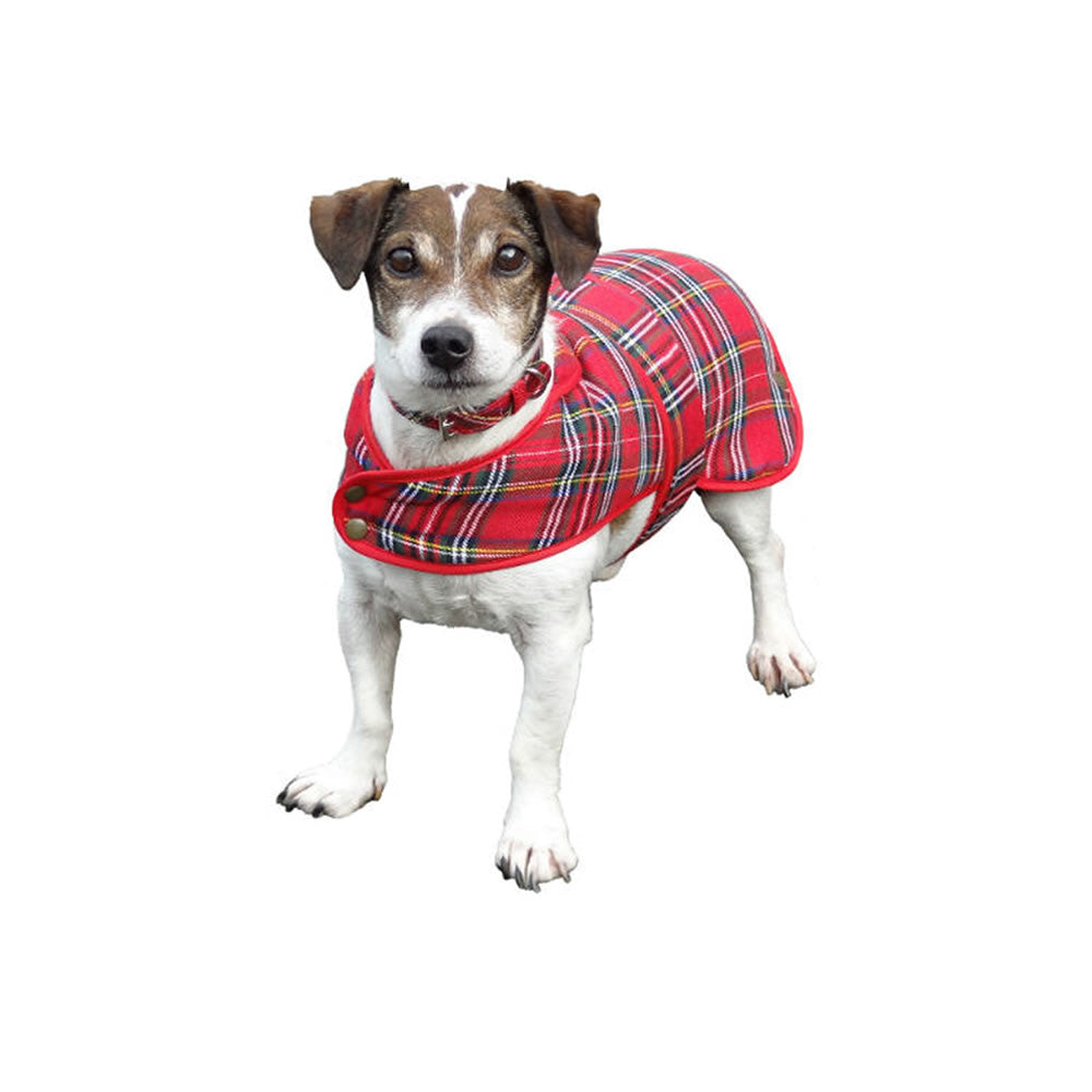 Tartan Dog Coat — Royal Stewart