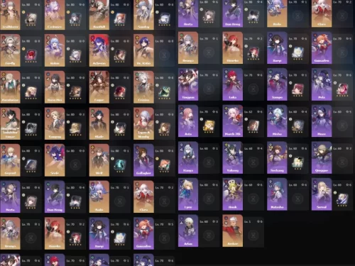 Honkai Star Rail | EU Multi-Account | HSR 24 Legends + 11 Cones | Genshin 24 Legs + 5 Weapons | Wanderer (C2) + Sign | Castorice | Firefly | Acheron | Full Access